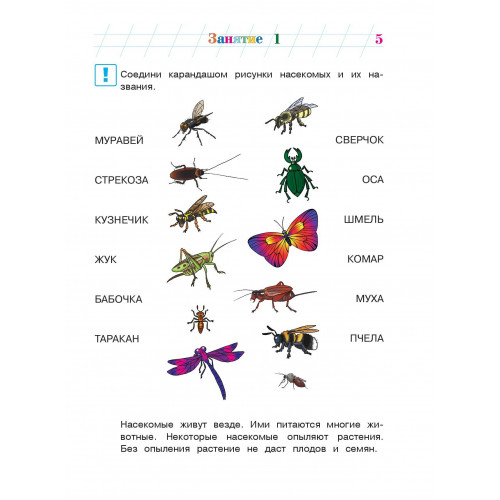 Изучаю мир вокруг: для детей 5-6 лет. Ч. 2