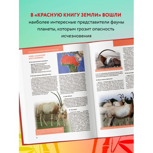 Красная книга Земли (новое оформление)