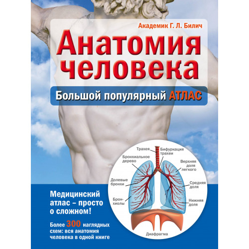 Анатомия человека: большой популярный атлас