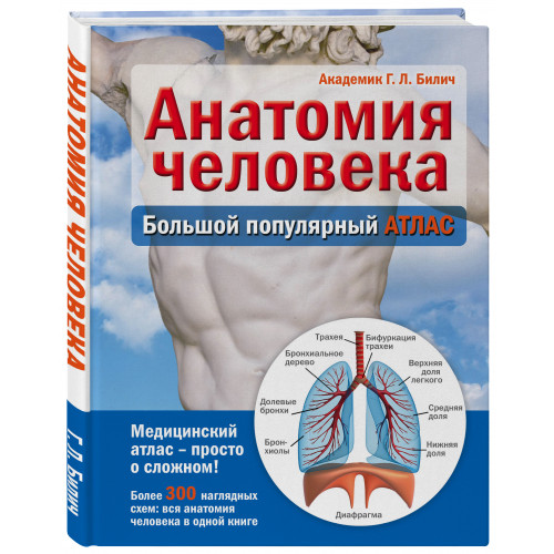 Анатомия человека: большой популярный атлас