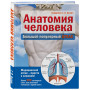 Анатомия человека: большой популярный атлас