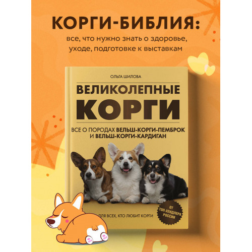 Великолепные корги. Все о породах вельш-корги-пемброк и вельш-корги-кардиган