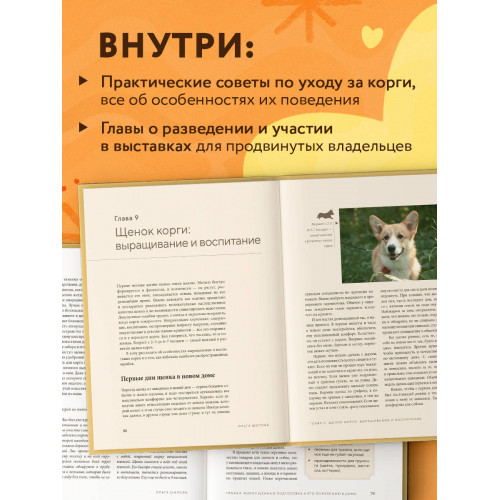 Великолепные корги. Все о породах вельш-корги-пемброк и вельш-корги-кардиган