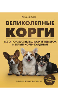 Великолепные корги. Все о породах вельш-корги-пемброк и вельш-корги-кардиган