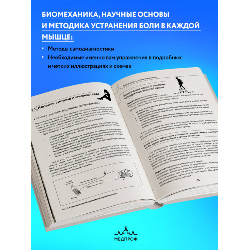 Прикладная кинезиология. Восстановление тонуса и функций скелетных мышц