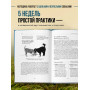 Дрессировка без наказания. 5 недель, которые сделают вашу собаку лучшей в мире