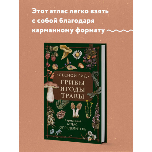 Лесной гид: грибы, ягоды, травы. Карманный атлас-определитель