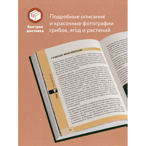 Лесной гид: грибы, ягоды, травы. Карманный атлас-определитель