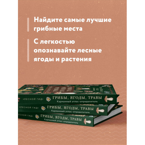 Лесной гид: грибы, ягоды, травы. Карманный атлас-определитель