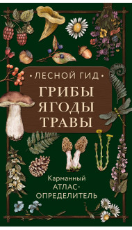 Лесной гид: грибы, ягоды, травы. Карманный атлас-определитель