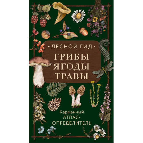 Лесной гид: грибы, ягоды, травы. Карманный атлас-определитель