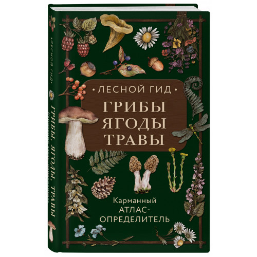 Лесной гид: грибы, ягоды, травы. Карманный атлас-определитель