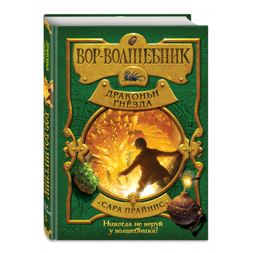 Вор-волшебник. Драконьи гнёзда (#3)