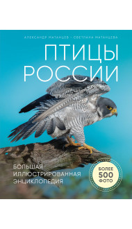 Птицы России. Большая иллюстрированная энциклопедия