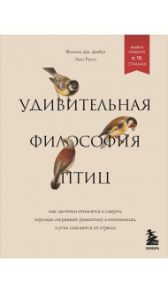 Удивительная философия птиц. Как ласточки относятся к смерти, горлицы сохраняют романтику в отношениях, а утки спасаются от стресса