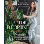 Цветок в горшке. Как посадить комнатные растения и не сесть в лужу