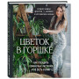 Цветок в горшке. Как посадить комнатные растения и не сесть в лужу