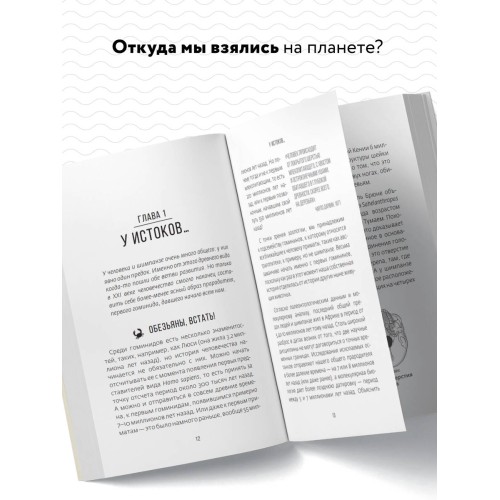 Сапиенс для пляжа: изучаем происхождение человека