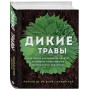 Дикие травы: как найти целебные продукты и создать собственные натуральные лекарства