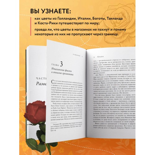 Путь розы. Внутри цветочного бизнеса: как выводят и продают цветы, которые не сумела создать природа