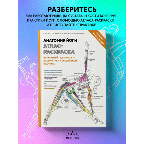 Анатомия йоги: атлас-раскраска. Визуальный гид по телу — от структуры к осознанной практике