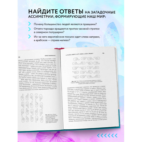 Почему сердце находится слева, а стрелки часов движутся вправо. Тайны асимметричности мира