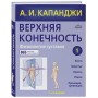 Верхняя конечность. Физиология суставов (обновленное издание)