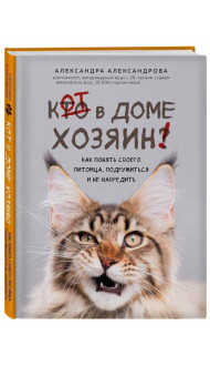 Кот в доме хозяин! Как понять своего питомца, подружиться и не навредить