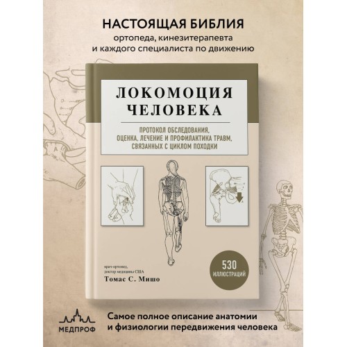 Локомоция человека. Протокол обследования, оценка, лечение и профилактика травм, связанных с циклом походки