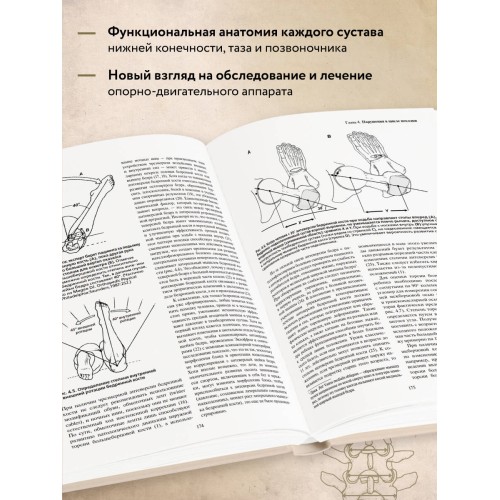 Локомоция человека. Протокол обследования, оценка, лечение и профилактика травм, связанных с циклом походки