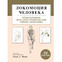 Локомоция человека. Протокол обследования, оценка, лечение и профилактика травм, связанных с циклом походки