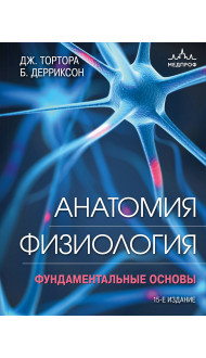 Анатомия. Физиология. Фундаментальные основы. 15-е издание