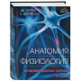 Анатомия. Физиология. Фундаментальные основы. 15-е издание