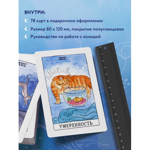 Cat Tarot. Таро Котиков (78 карт и руководство в подарочном футляре)