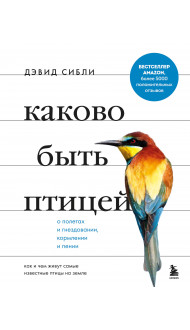 Каково быть птицей: о полетах и гнездовании, кормлении и пении. Как и чем живут самые известные птицы на земле