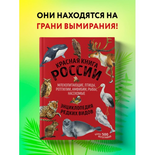 Красная книга России. Млекопитающие, птицы, рептилии, амфибии, рыбы, насекомые