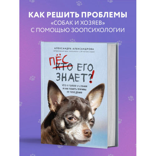 Пес его знает! Что в голове у собаки, и как понять причины ее поведения