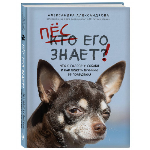 Пес его знает! Что в голове у собаки, и как понять причины ее поведения