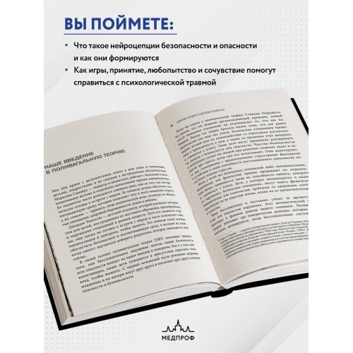 Поливагальная теория: использование блуждающего нерва в работе с детской психотравмой