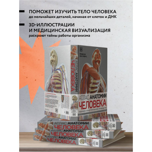 Атлас анатомии человека (DK). Подробное иллюстрированное руководство