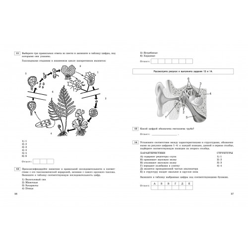 ЕГЭ-2024. Биология. Тренировочные варианты. 20 вариантов
