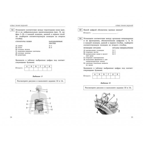 ЕГЭ-2024. Биология. Сборник заданий: 800 заданий с ответами