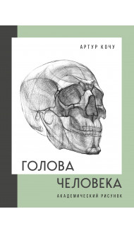 Голова человека. Академический рисунок