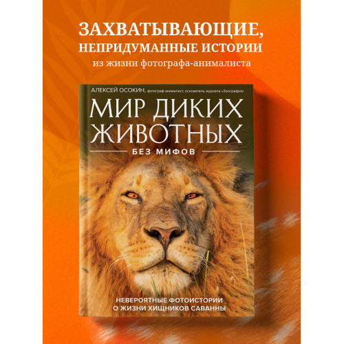 Мир диких животных без мифов. Невероятные фото-истории о жизни хищников саванны