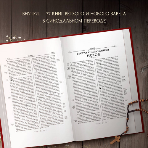 Библия. Книги Священного Писания Ветхого и Нового Завета. Подарочное издание с закрашенным обрезом