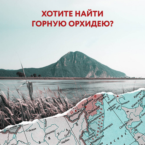 1000 лучших мест России, которые нужно увидеть за свою жизнь, 4-е издание (стерео-варио Орел)