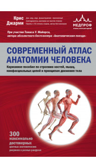 Современный атлас анатомии человека. Карманное пособие по строению костей, мышц, миофасциальных цепей и принципам движения тела