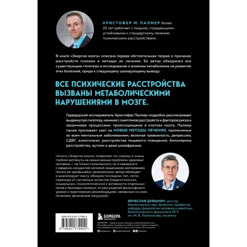 Энергия мозга. Теория развития всех психических заболеваний, объясняющая их общую причину