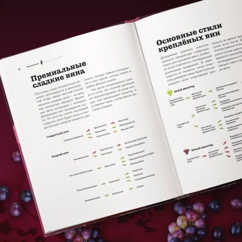 Виномания. Наглядный путеводитель по винному миру