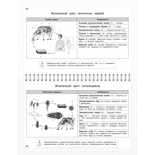 Биология: 5-11 классы